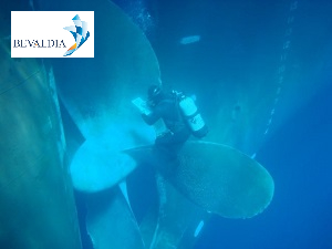 In-water Survey – Inspection BEVALDIA