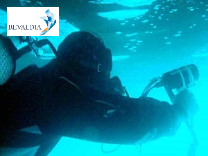 Underwater hull coating inspection BEVALDIA