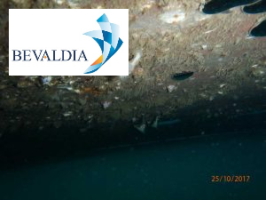 UNDERWATER-PHOTO-INSPECTION-ABIDJAN-IVORY-COAST-BEVALDIA-PSOMAKARA6-300x225 Underwater inspection Abidjan, Ivory Coast BEVALDIA PSOMAKARA