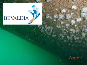 UNDERWATER-PHOTO-INSPECTION-ABIDJAN-IVORY-COAST-BEVALDIA-PSOMAKARA8-300x225 Underwater inspection Abidjan, Ivory Coast BEVALDIA PSOMAKARA