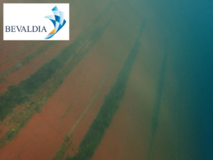 IN-WATER-CLASS-SURVEY-SPAIN-BEVALDIA-PSOMAKARA2 In water class survey Mallorca, Spain BEVALDIA PSOMAKARA