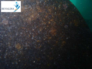 IN-WATER-CLASS-SURVEY-SPAIN-BEVALDIA-PSOMAKARA5 In water class survey Mallorca, Spain BEVALDIA PSOMAKARA