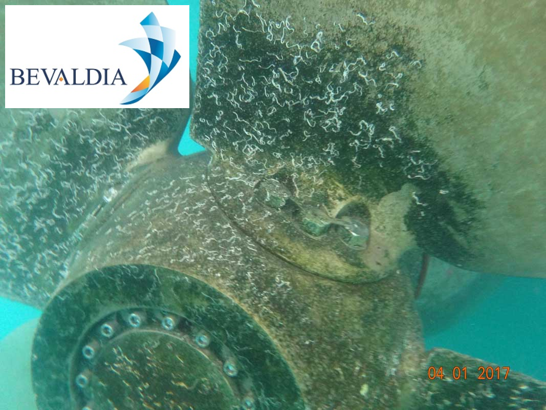 UNDERWATER-INSPECTION-FULL-HULL-CLEANING-AND-INTERIOR-CLEANING-OF-SEA-CHESTS-NEA-KARVALI-GREECE-BEVALDIA-PSOMAKARA11 Underwater hull cleaning Nea Karvali, Greece BEVALDIA