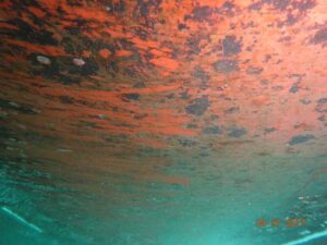 ship coating inspection