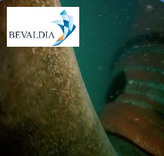 Underwater class inspection Tuxpan, Mexico BEVALDIA PSOMAKARA