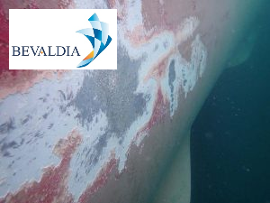 Underwater photo inspection for damages