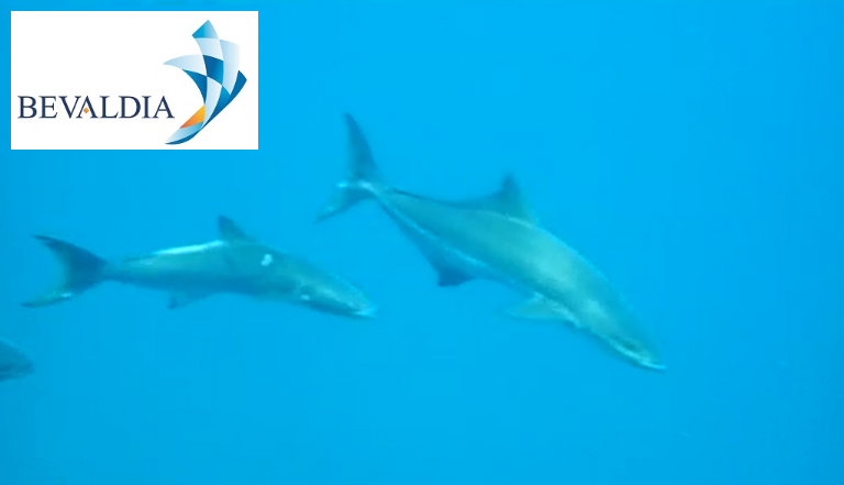 Underwater propeller polishing Lome Piraeus Greece