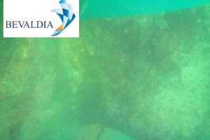 IN WATER HULL CLEANING AND PROPELLER POLISHING AND PHOTO INSPECTION IN BALBOA PANAMA (BEVALDIA PSOMAKARA) 5 Underwater hull cleaning Balboa Panama