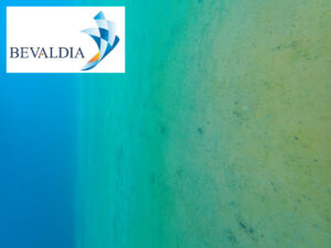 IN WATER WATERPROOFING PLUGGING BLANKING SERVICES PIRAEUS GREECE (BEVALDIA PSOMAKARA) 14 Underwater inspection Piraeus