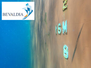 IN WATER WATERPROOFING PLUGGING BLANKING SERVICES PIRAEUS GREECE (BEVALDIA PSOMAKARA) 16 Underwater inspection Piraeus