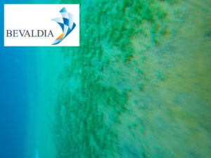 IN WATER WATERPROOFING PLUGGING BLANKING SERVICES PIRAEUS GREECE (BEVALDIA PSOMAKARA) 17 Underwater inspection Piraeus