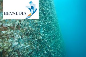 Underwater Photo inspection