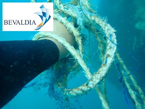 Underwater removal of entanglements Togo