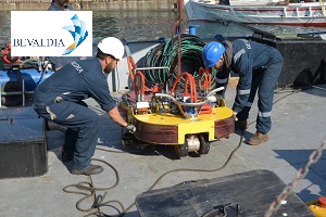 Underwater hull cleaning Australian standards