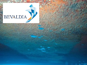 Underwater hull cleaning Australian standards