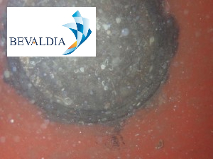 Underwater hull cleaning Australian standards BEVALDIA