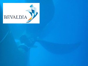 Underwater photo inspection Valletta Malta BEVALDIA Underwater photo inspection Valletta Malta BEVALDIA