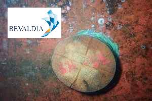 Underwater plugging services