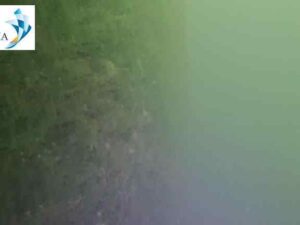 Underwater hull cleaning Abidjan 1 Underwater hull cleaning Abidjan 1