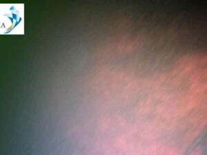 Underwater hull cleaning Abidjan 5 Underwater hull cleaning Abidjan 5