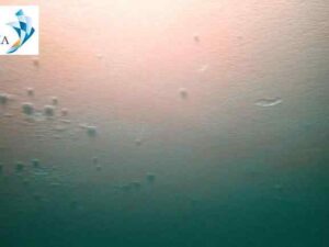 Underwater hull cleaning Abidjan 6 Underwater hull cleaning Abidjan 6