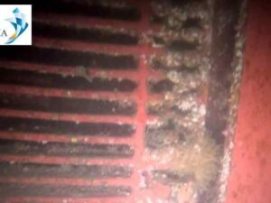 Underwater hull cleaning Abidjan 7 Underwater hull cleaning Abidjan 7