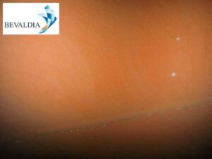 Underwater hull cleaning Ivory Coast 6 Underwater hull cleaning Ivory Coast 6