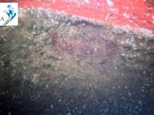 Underwater hull cleaning Ivory Coast 7 Underwater hull cleaning Ivory Coast 7