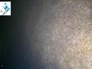 Underwater hull cleaning Ivory Coast 9 Underwater hull cleaning Ivory Coast 9