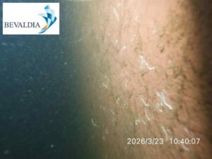 Underwater hull cleaning Onne Nigeria 1 Underwater hull cleaning Onne Nigeria 1