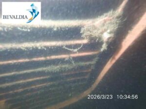 Underwater hull cleaning Onne Nigeria 11 Underwater hull cleaning Onne Nigeria 11