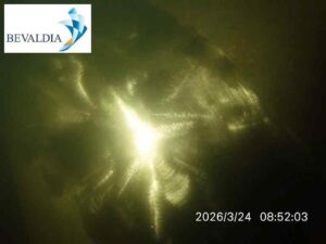 Underwater hull cleaning Onne Nigeria 14 Underwater hull cleaning Onne Nigeria 14