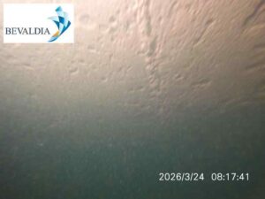 Underwater hull cleaning Onne Nigeria 8 Underwater hull cleaning Onne Nigeria 8