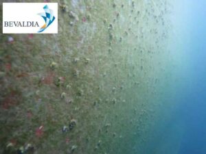 Underwater hull cleaning Piraeus Greece 1 Underwater hull cleaning Piraeus Greece 1