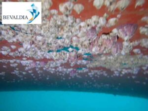 Underwater hull cleaning Piraeus Greece 6 Underwater hull cleaning Piraeus Greece 6