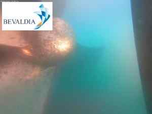 Underwater hull cleaning in Lome Togo by BEVALDIA 10 Underwater hull cleaning in Lome Togo by BEVALDIA