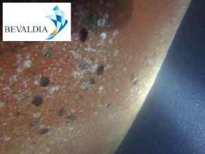 Underwater hull cleaning in Lome Togo by BEVALDIA 11 Underwater hull cleaning in Lome Togo by BEVALDIA