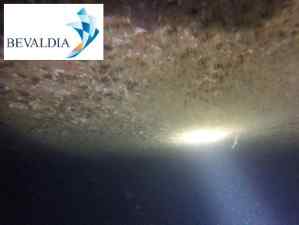 Underwater hull cleaning in Lome Togo by BEVALDIA 5 Underwater hull cleaning in Lome Togo by BEVALDIA