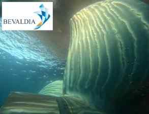 Underwater hull cleaning in Sohar Oman by BEVALDIA 10 Underwater hull cleaning in Sohar Oman by BEVALDIA