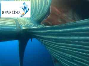 Underwater hull cleaning in Sohar Oman by BEVALDIA 8 Underwater hull cleaning in Sohar Oman by BEVALDIA